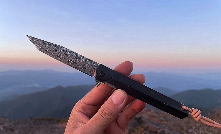2.6 Inch Japanese Folding Blade Knife,VG10 Damascus Steel,Ebony Handle
