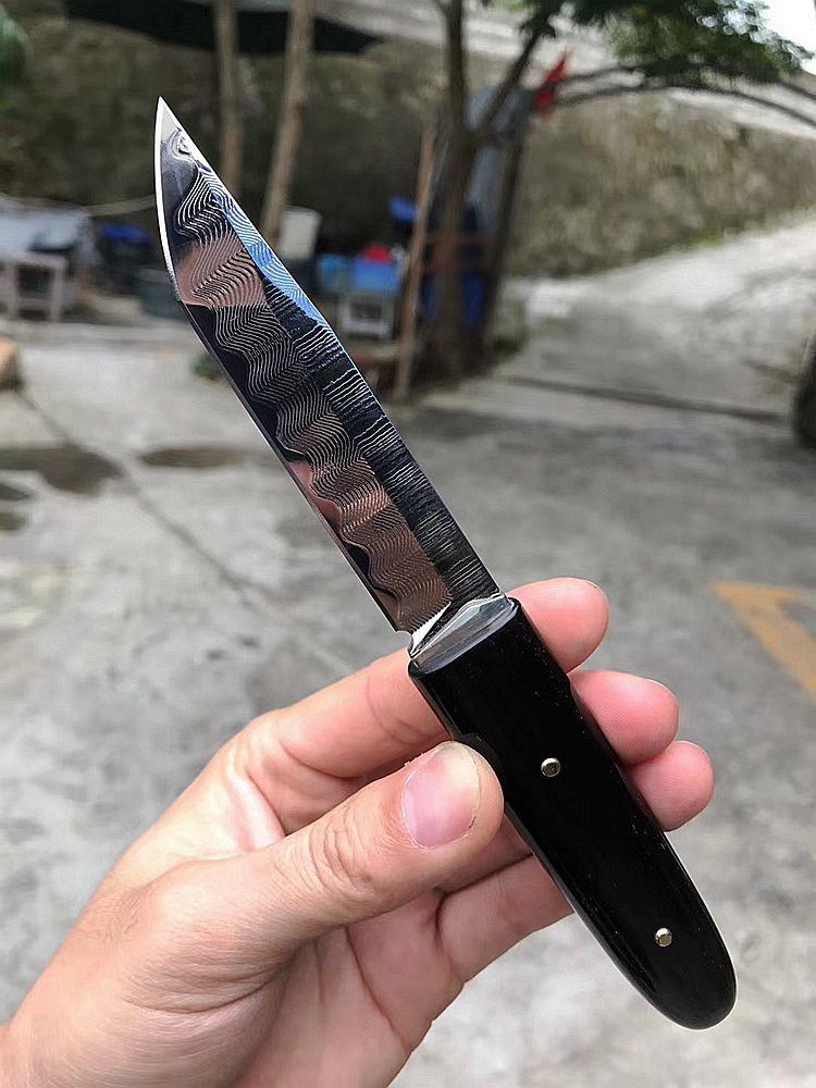 3.54 Inch Outdoor Fixed Blade Knife, VG10 Damascus Steel, Ebony Wood