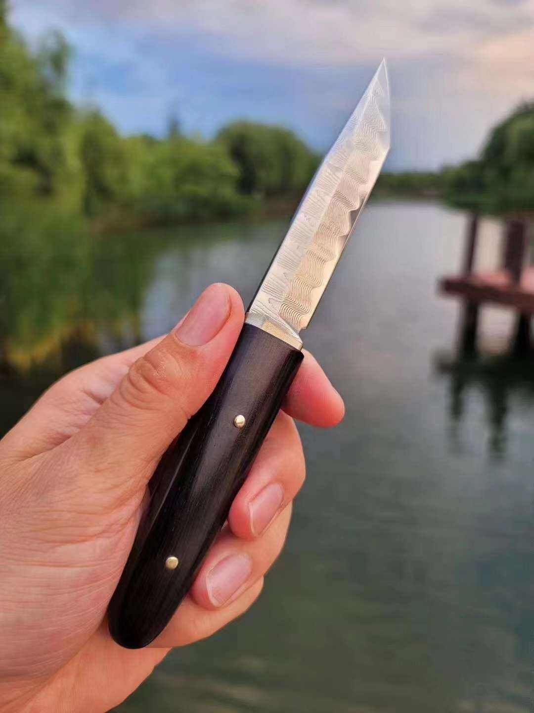 3.54 Inch Outdoor Fixed Blade Knife, VG10 Damascus Steel, Ebony Wood